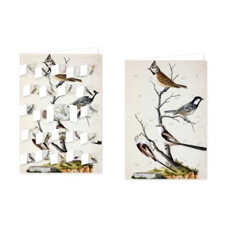 RASW070 -  Adventskalender Doppelkarte mit Umschlag B6 -  Wald- und Wiesenvögel