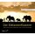 CD - Anthony, Lawrence / Spence, Graham - Der Elefantenflüsterer: Mein Leben mit den sanften Riesen und was sie mir beibrachten