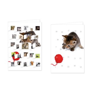 RASW086 -  Adventskalender Doppelkarte mit Umschlag B6 - "Kätzchen"