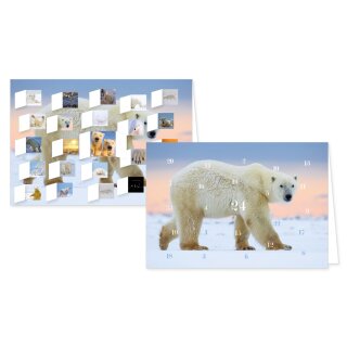 RASW087 -  Adventskalender Doppelkarte mit Umschlag B6 - "Eisbären"