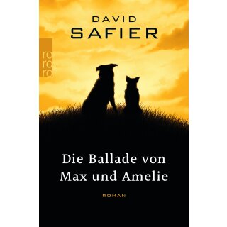 Safier, David – Die Ballade von Max und Amelie (TB)