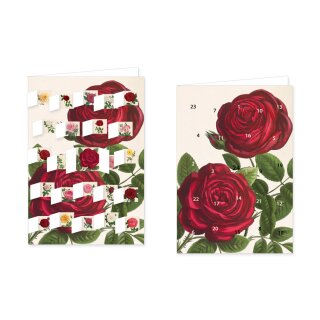 RASW095 -  Adventskalender Doppelkarte mit Umschlag B6 - " Alte Gartenrosen" 