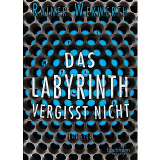 Wekwerth, Rainer - Band 4 - Das Labyrinth vergisst nicht (HC)