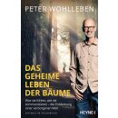 Wohlleben, Peter -  Das geheime Leben der Bäume -...