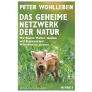 Wohlleben, Peter -  Das geheime Netzwerk der Natur (TB)