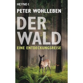 Wohlleben, Peter -  Der Wald (TB)