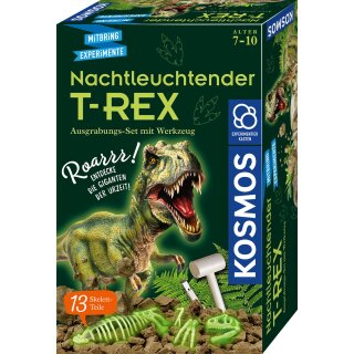 Nachtleuchtender T-REX - Ausgrabungs-Set - Kollektion Dinosaurier