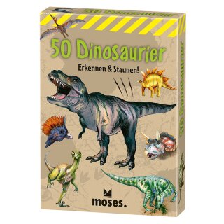 Spiel - 50 Dinosaurier