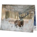 RFPB116 - Postkartenbuch Lebensraum Wald Tier im Winter