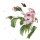 RFRS010 - Regenschirm / Stockschirm Rosa Centifolia