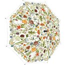 RFRS008 - Regenschirm / Stockschirm Gartenblumen