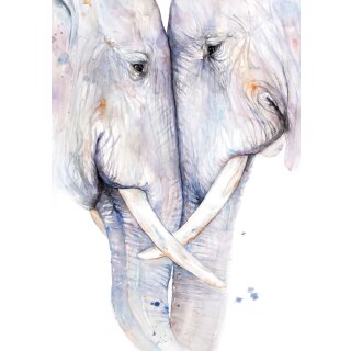 Postkarten Elefanten - VE 10