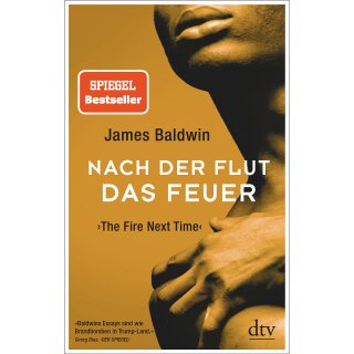 Baldwin, James -  Nach der Flut das Feuer (TB)