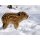 RFPB029 - Postkartenbuch Tiere im Winter