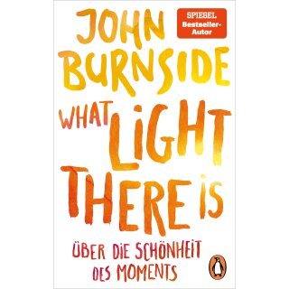 Burnside, John -  What light there is – Über die Schönheit des Moments (TB)