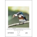 Steffny, Herbert -  Vogelkalender 2024 - Tagesabreißkalender zum Aufstellen oder Aufhängen -