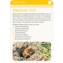 Blatt & Blüte Karten - Insektenglück: Pflanze dir dein buntes Insektenglück