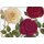 RTBS059 - Tablett aus Melamin - Rote Rosen