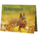 RFPB044 - Postkartenbuch : Eichhörnchen