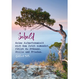Tolle, Eckhart -  Eckhart Tolle Postkarten "Sobald" - VE 10