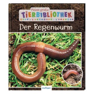 Tracqui, Valérie - Meine große Tierbibliothek: Der Regenwurm (HC)