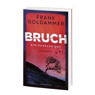 Goldammer, Frank - Felix Bruch (1) Bruch - Ein dunkler Ort (TB)