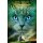 Hunter, Erin - Warrior Cats Warrior Cats - Die neue Prophezeiung. Dämmerung (TB)