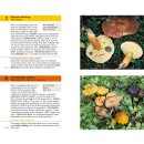 Laux, Hans E.; Gminder, Andreas -  Essbare Pilze und ihre giftigen Doppelgänger - Pilze sammeln - aber richtig