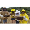 Kretischer Honig : Thymian Honig im 950g Glas