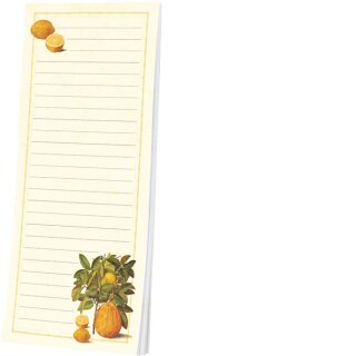 RKNB205 – Kühlschrankblöckchen - „Citrus limonum aus dem Gottorfer Codex“