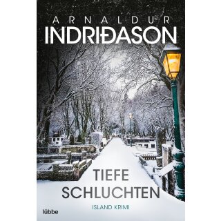 Indriðason, Arnaldur - Kommissar Konrad (3) Tiefe Schluchten (TB)