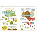 Gerlach, Angela - Von Bäumen, Blüten und Büchern (8) Permakultur - Von der Natur lernen und nachhaltige Kreisläufe schaffen. Eine Anleitung in Bildern (HC)