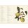 Harrison, Lorraine - Von Bäumen, Blüten und Büchern (1) Latein für Gärtner - Über 3000 botanische Begriffe erklärt und erforscht (HC)