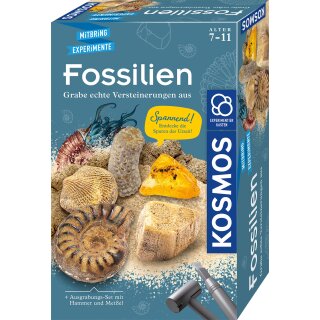 Fossilien - Experimentierkasten