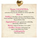 Kempen, Sarah M. -  Valentina Amor. All you need is love (oder so) - Farbschnitt in limitierter Auflage (TB)