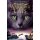 Hunter Erin - Warrior Cats - Band 3 - Die Macht der drei, Verbannt: III, (HC)