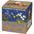 Wohlleben, Peter - Peter & Piet Samenbombe Wildblume