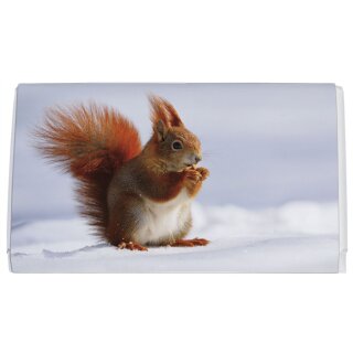 ROKO031 - Schokoladen-Tafel : Rotes Eichhörnchen im Schnee