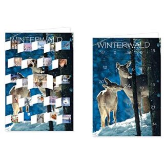 RASW109 -  Adventskalender Doppelkarte mit Umschlag B6 - "Winterwald"