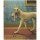 RBT317 – Brillenputztuch Doggs- Bunte Hunde „A Danish Noir“ ( Bridgeman Art Libary ) 15 x 18cm