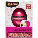 Magic growing Pet - wachsender Flamingo im Ei