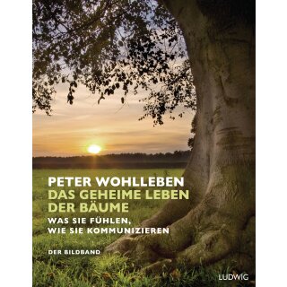 Wohlleben, Peter - Das geheime Leben der Bäume: Der Bildband (HC)