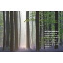 Wohlleben, Peter - Das geheime Leben der Bäume: Der Bildband (HC)