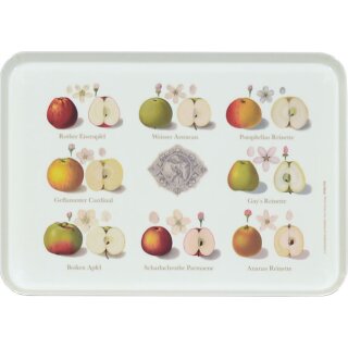 RTBS016 &ndash; Tablett aus Melamin &ndash; &bdquo;Pomologie der Äpfel&ldquo;