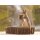 RFPB100 - Postkartenbuch : Lustige Eichhörnchen