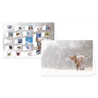 RASW055 -  Adventskalender Doppelkarte mit Umschlag B6 - Tiere im Schnee