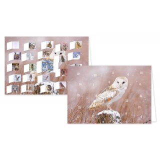 RASW057 -  Adventskalender Doppelkarte mit Umschlag B6 - "Eulen im Winter"