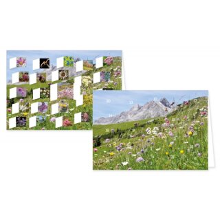 RASW059 -  Adventskalender Doppelkarte mit Umschlag B6 - " Alpenblumen" 