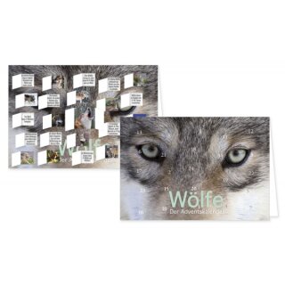 RASW066 -  Adventskalender Doppelkarte mit Umschlag B6 - Wölfe