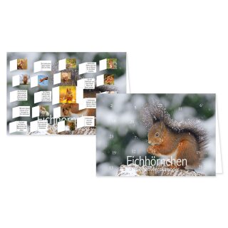 RASW068 -  Adventskalender Doppelkarte mit Umschlag B6 - Eichhörnchen